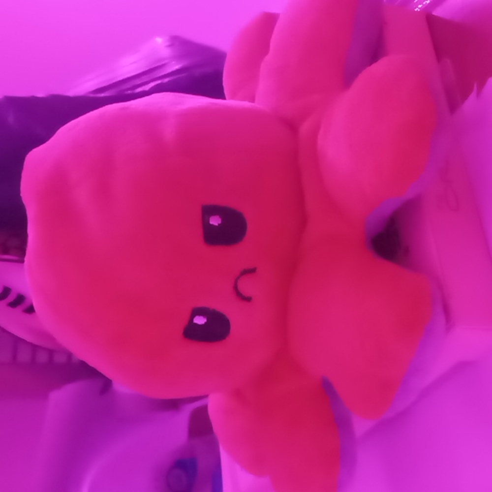Octopus Plush (double sided)